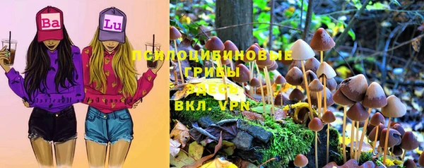 мяу мяу кристалл Инсар