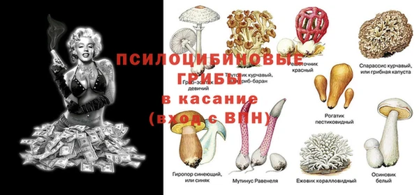 мдпв Зеленокумск
